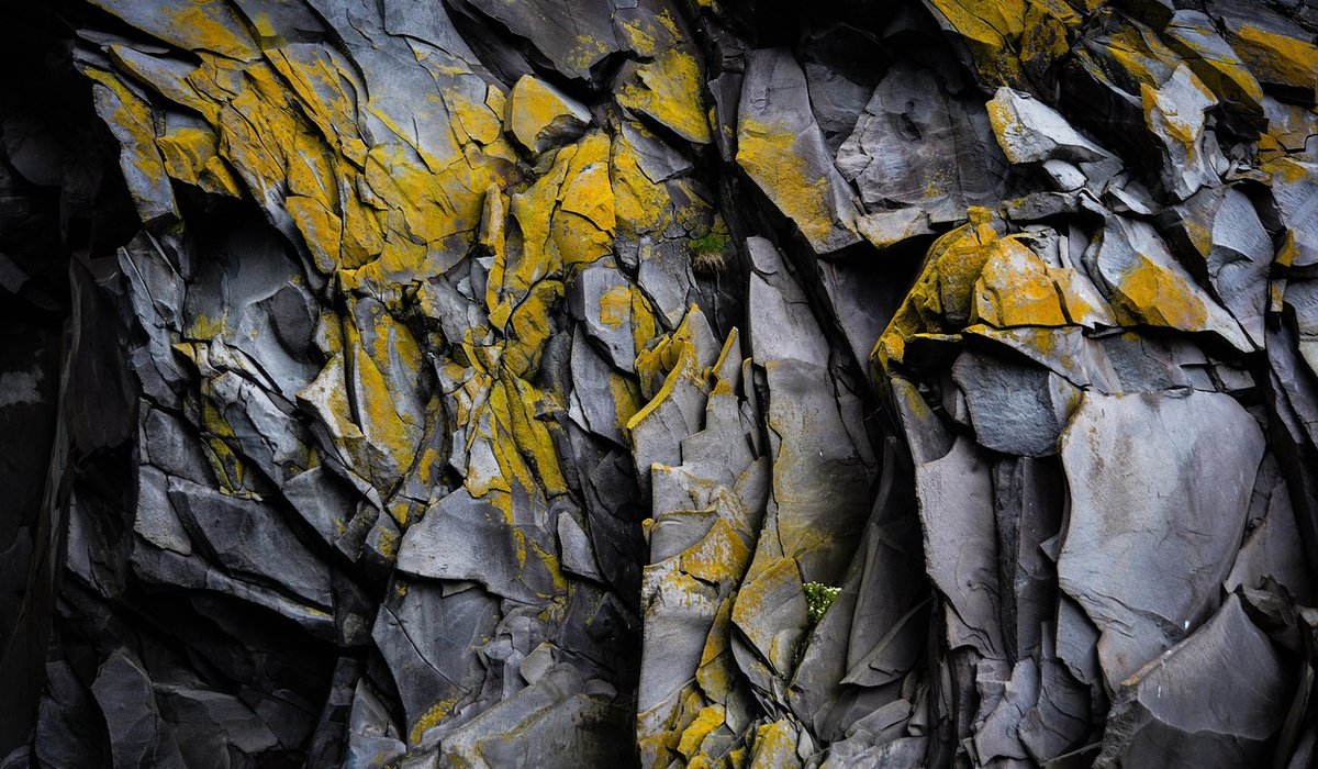 Finding Quirky Homeware in Charity Shops